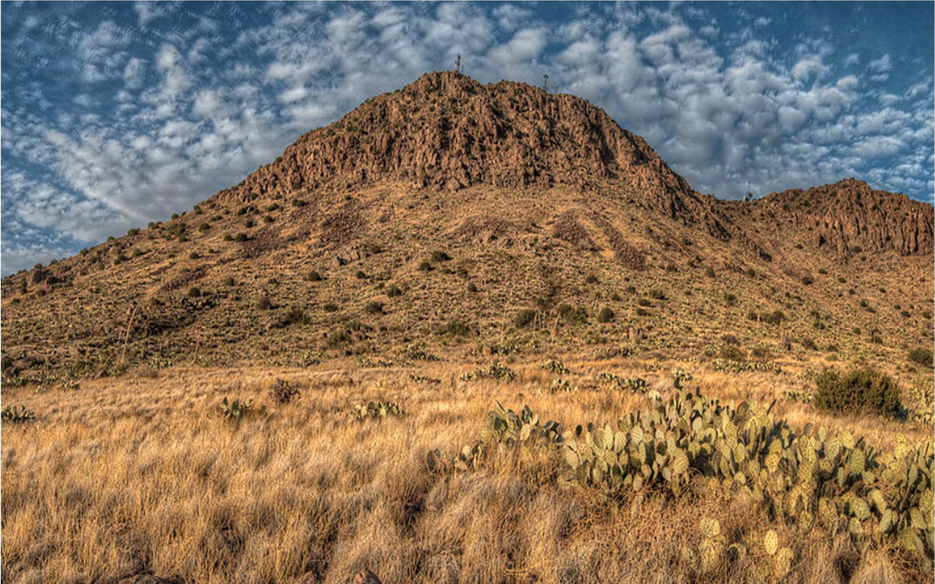 Luna County, NM 04